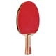 Набор для настольного тенниса DUNLOP RAGE DL10285750 1 ракетка 2 мяча - изображение 4