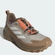 Мужские кроссовки для треккинга с Gore-tex Adidas Terrex Trailmaker 2 Gtx Sl JR6573 45.5 (10.5UK) 29 см Wonder Alumina (4068804459840) - изображение 3