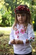Вишиванка Lesia Шипшина на білому 96231208-92 - изображение 4