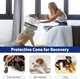 Защитный надувной ошейник для собак Derby Inflatable Dog Cone with Detachable Anti-Licking Shield, Grey, M - изображение 2