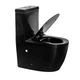 Унітаз-моноблок Ermin BG JL 65*36.5*79 black ( А0059573 ) - изображение 2