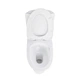Унітаз-моноблок SY 1612 PAINT rim 71*39*77 белый ( А0058450 ) - изображение 2