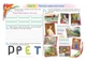Образотворче мистецтво. 6 клас. Альбом. НУШ - зображення 5