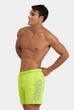 Чоловічі шорти Arena FUNDAMENTALS ARENA LOGO BOXER 006444-688 M Салатовий - изображение 1