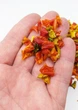 Сушеный сладкий перец кусочками 100г - изображение 7