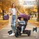 Дитячий триколісний велосипед-коляска з ручкою для батьків поворотний з музикою El Camino ME 1193 MODENA Purple - зображення 2