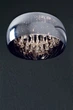 Люстра Zuma Line Crystal C0076-06X-F4FZ - зображення 2