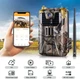 4G фотоловушка Suntek HC-900Pro Li (5000mAh, 30Mp, Облако) (1417) - изображение 2