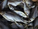 Тарань в'ялена без луски 500г, ТМ "Elite fish" (5-8 шт) - зображення 2