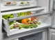 Холодильник ELECTROLUX LNT6ME46X3 - зображення 10