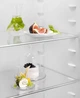 Холодильник Electrolux LRB3AE12S - изображение 3
