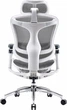 Sihoo Doro C300 Pro Mesh White - зображення 2