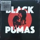 Black Pumas - Black Pumas (Альбом) - зображення 1