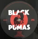 Black Pumas - Black Pumas (Альбом) - зображення 4