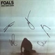 Foals - What Went Down (180 грам, Альбом) - зображення 8