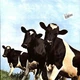 Pink Floyd - Atom Heart Mother (180 грамм, Альбом, Переиздание, Ремастеринг) - изображение 2