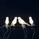 Садовая гирлянда 6551/DM на солнечной батарее 3,2 м с 5 LED-птичками на прищепках, теплый свет - изображение 4