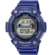 Чоловічий Спортивний Наручний Годинник CASIO WS-1300H-2AVEF - изображение 1