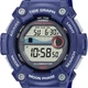 Чоловічий Спортивний Наручний Годинник CASIO WS-1300H-2AVEF - изображение 5