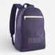 Рюкзак спортивный 22 л вмещает формат А4 Puma Phase Essentials 09116637 Deep Plum (4069162047212) - изображение 1
