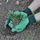 Садові рукавички прогумовані Garden Work-Gloves 1 пара з кігтями, з пластиковими наконечниками, вологозахищені - зображення 8