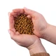 Сухой беззерновой корм для юниоров малых пород с рыжей окраской Nature's Protection Superior Care 1,5 кг. (NPSC47228) - изображение 5