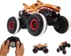 Машинка на пульті Hot Wheels Monster Trucks RC Tiger Shark HGV87 - зображення 5