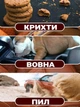Портативный ручной пылесос для автомобиля и дома Blast B1-39 100 Вт 2000мАч 3 насадки - изображение 9