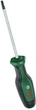 Отвертка Bosch Torx20х100 мм (1600A03DT4) - изображение 1