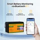 Акумулятор ECO-Worthy LFP 24-100 LiFePO4 Bluetooth - LiFePO4 на 24 В 100 ампер-часов - изображение 2