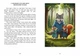 Казковий світ почуттів (для розвитку емоційного інтелекту). Книга для дітей. Повнокольорове видання українською та англійською мовами - зображення 6