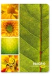 Блокнот Аркуш B6 48 аркушів у клітинку м'яка обкладинка Macro (1В1014) - изображение 1