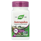Астрагал Nature's Way "Astragalus" стандартизированный экстракт, 500 мг (60 капсул) - изображение 1