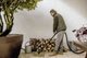 Сетевой промышленный пылесос профессиональный 17л Karcher WD 3 V-17/4/20 1000 Вт хозяйственный пылесос для дома и ремонта с контейнером на 17 л влажная/сухая уборка Желтый - изображение 10