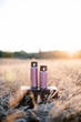Термокружка для напоїв 0,45 л Tribe Motion (T-DD-0015-pink) - зображення 7