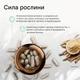 Ашваганда, магній та вітаміни В BioGena - 60 капсул - зображення 4