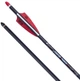 Набор стрел для арбалета TenPoint 20" Carbon 001. 6 шт/уп - изображение 2