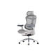 Офісне крісло Sihoo DORO C300L Mesh White (DORO-C300L-A3-102) - зображення 1