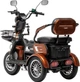Електроскутер Триколісний Corso Logan (1200W 72V/23Ah) Коричневий - зображення 2