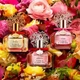 Vince Camuto Парфумована вода для жінок Ciao, 30 мл - зображення 3