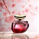 Vince Camuto Парфумована вода для жінок Illuminare Intensa, 30 мл - зображення 5