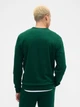 Свитшот на флисе мужской GAP 49884042 XL Зеленый (1159854701) - изображение 2