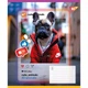 Зошит учнівський YES Cute animals 767728 18 арк. Різнокольоровий shop (4823092293268) - зображення 1