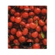 Весы кухонные Ardesto SCK-893 Cherry - изображение 1