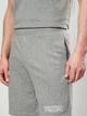 Шорты хлопковые короткие мужские Puma Essentials Graphics 69179003 M Medium Gray Heather (4069161973956) - изображение 4