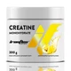 Креатин IronFlex Creatine Monohydrate, 300 грамм - Ананас - изображение 1