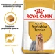Сухий корм для дорослих собак Royal Canin Yorkshire Terrier породи Йоркширський тер'єр, 1.5 кг - зображення 2