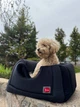 Домик-лежак трансформер 2 в 1 для кошек и собак Diego Rest Transformer Lux S черный, премиальный мебельный велюр, съемная подушка, поролоновая конструкция, 38x38x32 см - изображение 3