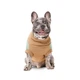 Свитер вязаный Pet Fashion Rich для собак коргі XL - изображение 3
