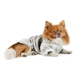 Куртка Pet Fashion Bony для собак, XS2 білий, зелений - изображение 3